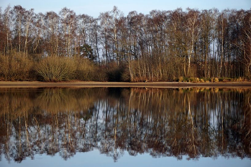Reflection by Karsten van Dam