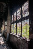 Broken windows in abandoned factory
