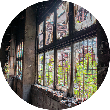 Gebroken ramen in verlaten fabriek van Servaas Hiel