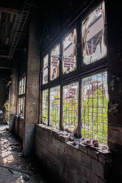 Broken windows in abandoned factory by Servaas Hiel