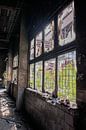 Broken windows in abandoned factory by Servaas Hiel thumbnail