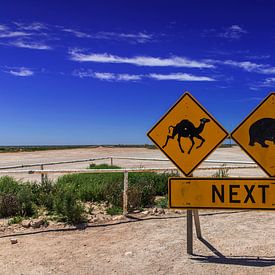 Road signs at the beginning of the Nullarbor road, a road through the emptiness of southern Australi by Coos Photography