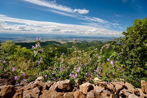 Blick über das Rhonetal und die Berge der Ardeche und