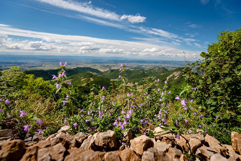 View over the Rhone valley and the mountains of the Ardeche and by Fotografiecor .nl