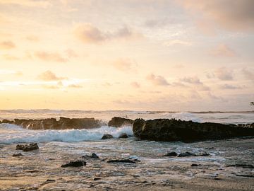 Santa Teresa Costa Rica by Raisa Zwart