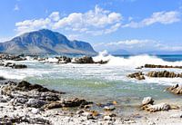 The Saltwater Collection | Betty's Bay