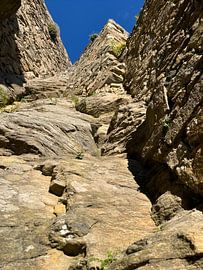 Burgruine von Bernadette Zeyringer