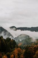 Naturlandschaft Nebel in den Bergen