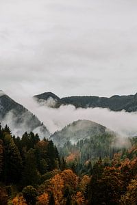 Natuur landschap mist in de bergen van Anouk Strijbos