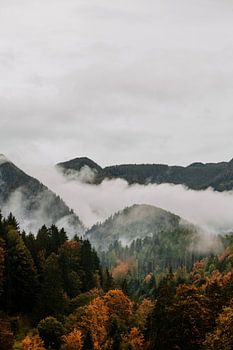 Nature landscape fog in the mountains