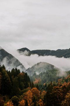 Naturlandschaft Nebel in den Bergen von Anouk Strijbos