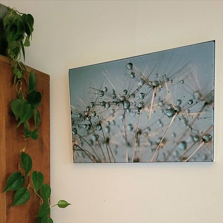 Abstract: Druppeltjes rusten op een pluizenbol