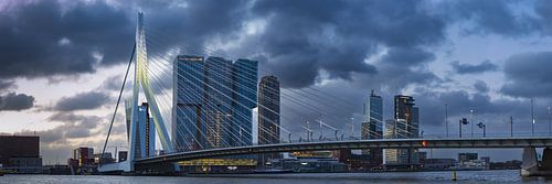 Nieuwe Maas met Erasmusbrug en wolkenkrabbers, Rotterdam