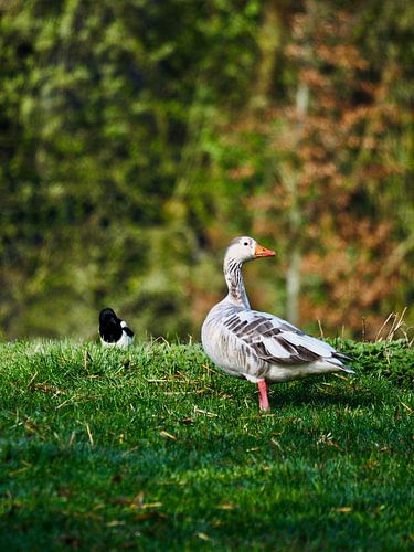 Le calme au cœur de la verdure