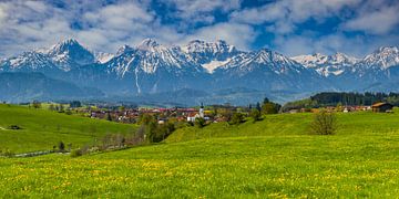 Rieden am Forggensee von Walter G. Allgöwer