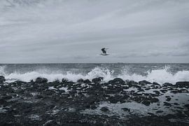 Stürmisches Wetter am Strand von Stedom Fotografie