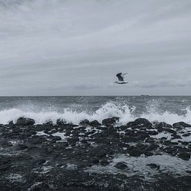 Temps orageux sur la plage sur Stedom Fotografie