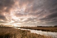 Zonsopkomst in de natuur