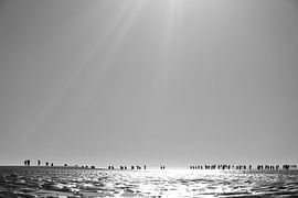 Wadlopers Ameland von Christop.nl