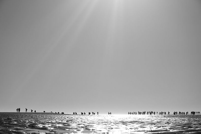 Wadlopers Ameland by Christop.nl