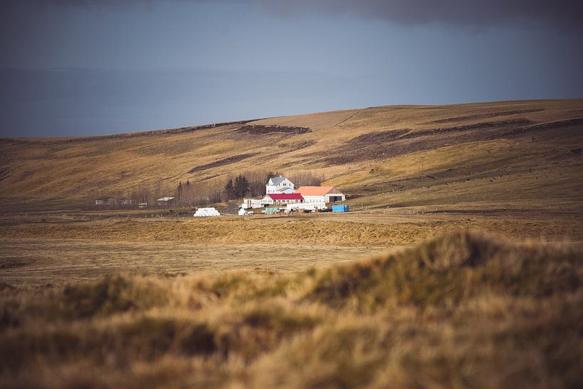 Typisches Haus in Island von Jonathan Verhoeven