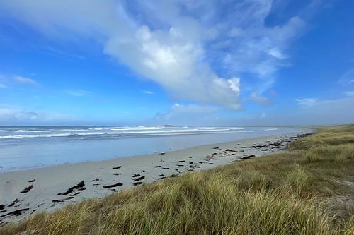 De stilte van de duinen