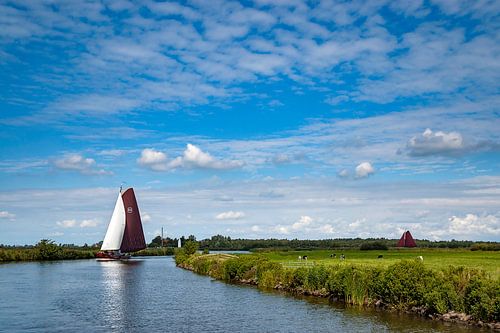 Skutsje zeilend in NP De Alde Feanen