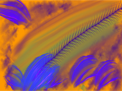 plumage