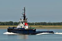 Union Emerald