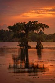 My lake at sunset by Martin Podt