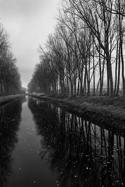 Kanal von Schipdonk - Reflexionen, Westflandern, Belgien von Imladris Images