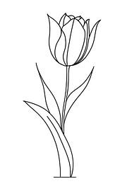 Tulpe, minimalistisch...