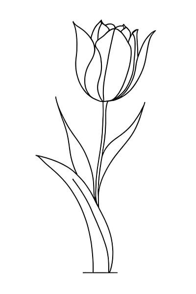 Tulpe, minimalistisch... von Ans Bastiaanssen