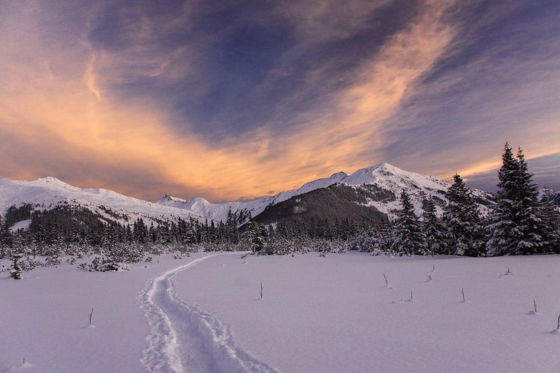 Ochtendgloed boven besneeuwde Alpen van Jonathan Vandevoorde