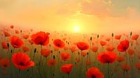 Poppy field