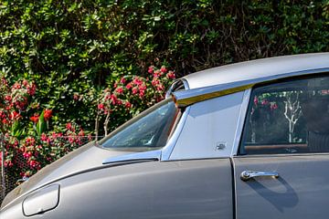 Citroën DS klassieke Franse limousine van Sjoerd van der Wal Fotografie