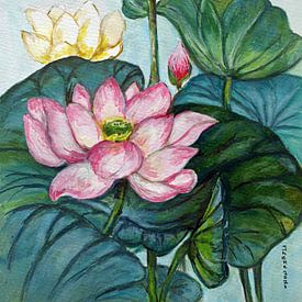 Pink lotus . Hand-painted watercolour by Ineke de Rijk