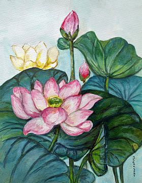 Roze lotus . Handgeschilderde aquarel van Ineke de Rijk