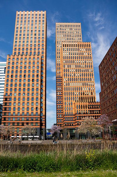 Zuidas Amsterdam van Manuel Tolhuis