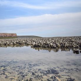 Molen aan het strand in Vlissingen sur Kim de Been