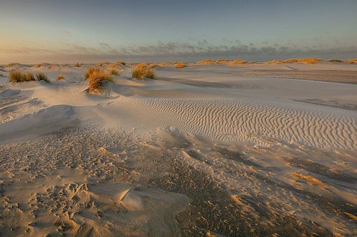 Dunes de Texel en été au coucher du soleil
