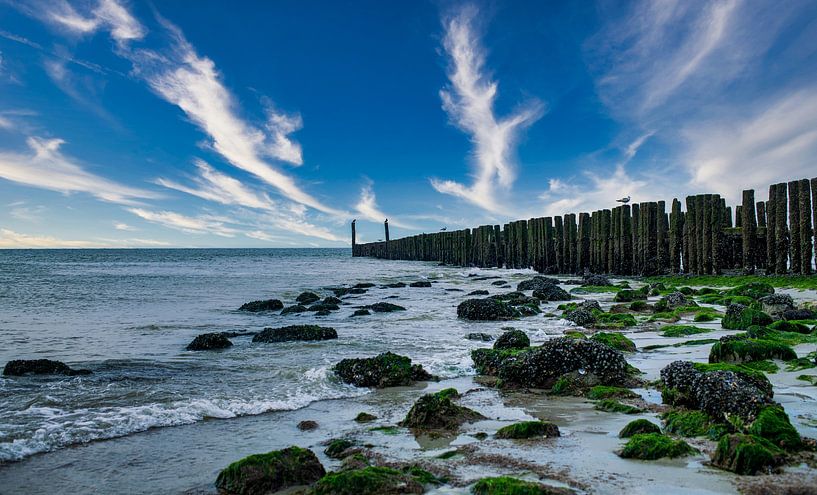 Westkapelle breakwater by MSP Canvas