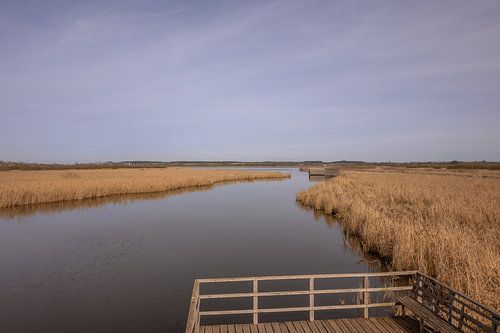 BADEN-WÜRTTEMBERG : BAD BUCHAU - FEDERSEE