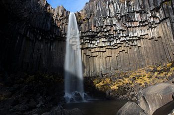 Svartifoss Wasserfall