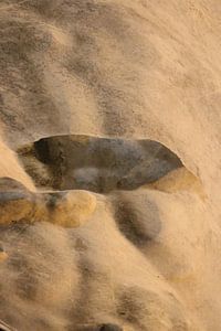 An abstract bird on a cave wall.