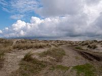 The bark Texel
