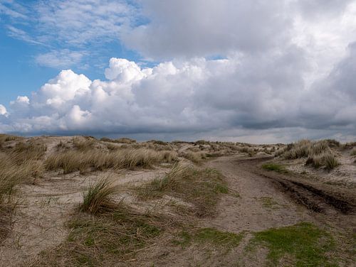 De hors Texel