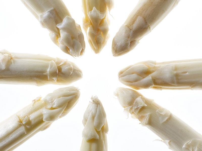 Asparagus by Sjoerd van der Hucht