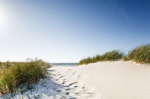 Duin droom op Fischland / Darß