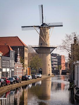 Windmolen in Historisch Schiedam van Rob Boon